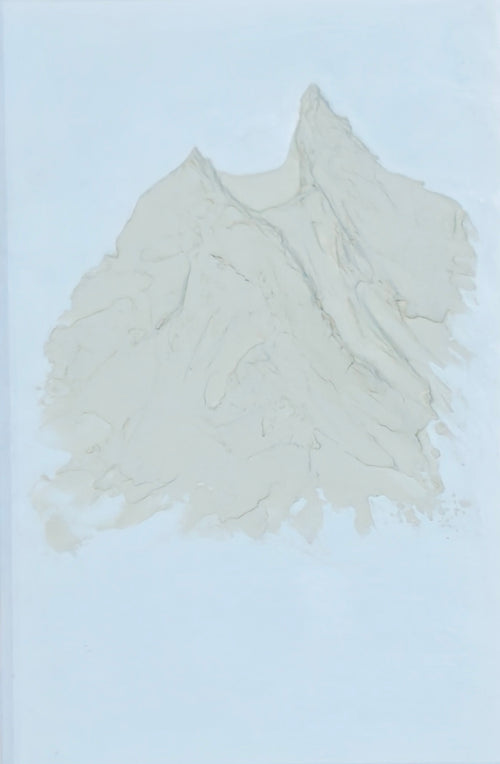 Mount Cook Summit Textured